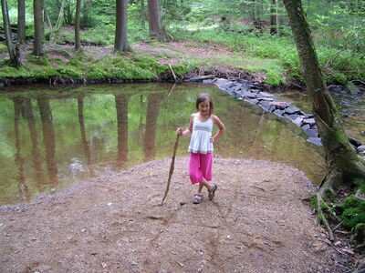 DSCF9531.JPG