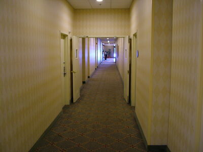 DSCF9539.JPG