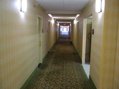 DSCF9540.JPG