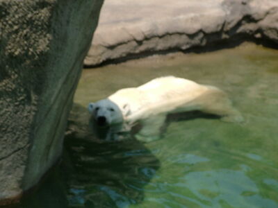 DSCF9725.JPG