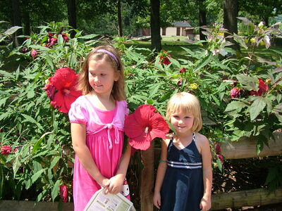DSCF9726.JPG