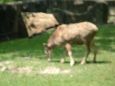 DSCF9727.JPG