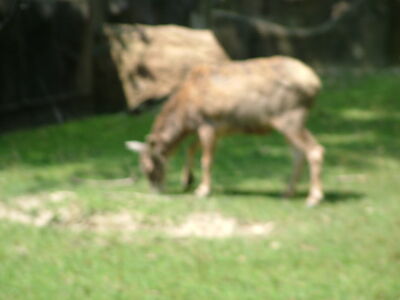 DSCF9728.JPG