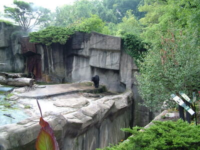 DSCF9729.JPG