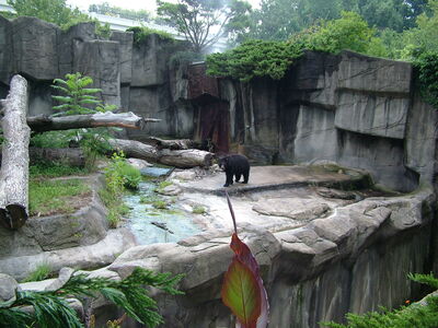 DSCF9730.JPG