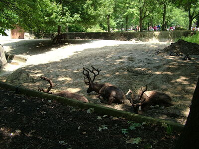 DSCF9731.JPG