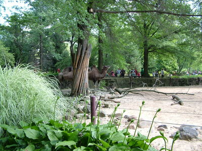 DSCF9732.JPG