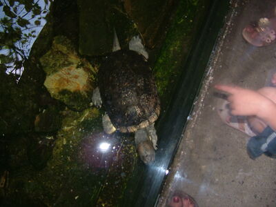 DSCF9734.JPG