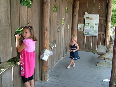 DSCF9737.JPG