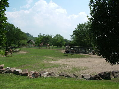 DSCF9739.JPG