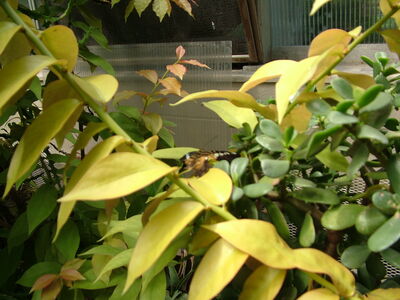 DSCF9741.JPG