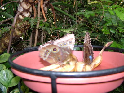 DSCF9744.JPG