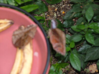 DSCF9745.JPG