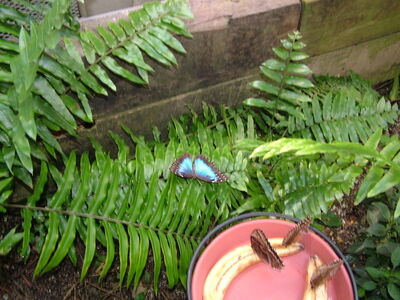 DSCF9746.JPG