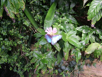 DSCF9747.JPG