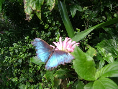 DSCF9748.JPG