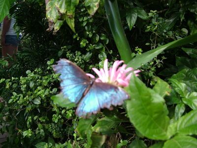DSCF9749.JPG