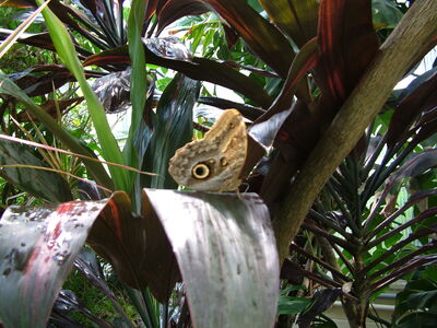 DSCF9750.JPG
