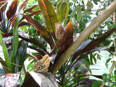 DSCF9751.JPG