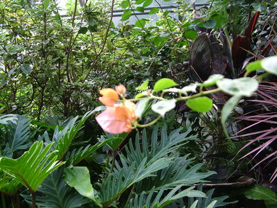 DSCF9752.JPG