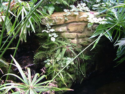 DSCF9753.JPG