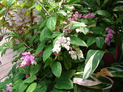 DSCF9754.JPG