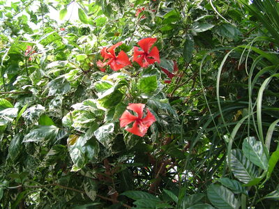 DSCF9756.JPG