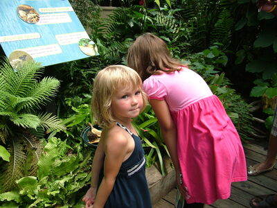 DSCF9757.JPG