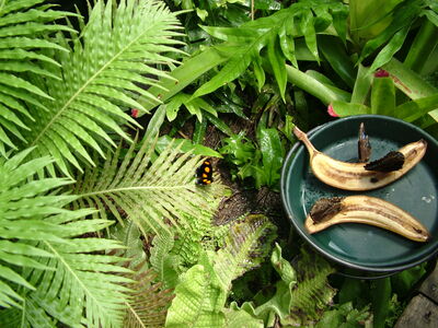 DSCF9758.JPG