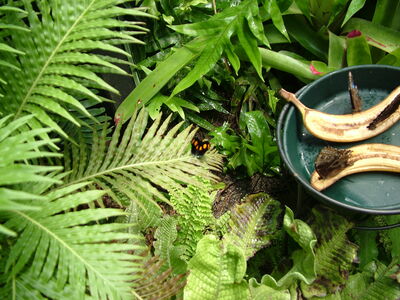 DSCF9760.JPG