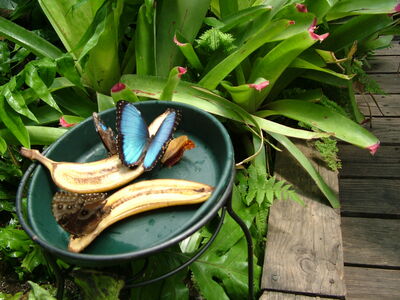 DSCF9761.JPG