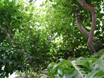 DSCF9762.JPG