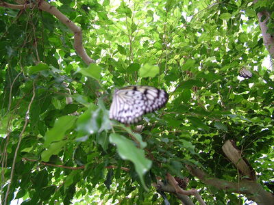 DSCF9763.JPG