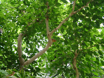 DSCF9764.JPG