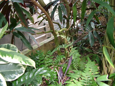 DSCF9765.JPG