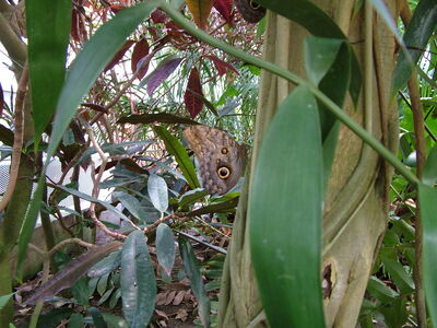 DSCF9766.JPG