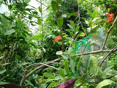 DSCF9769.JPG