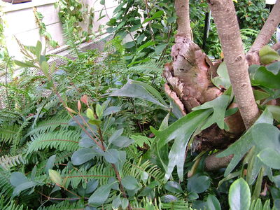 DSCF9770.JPG