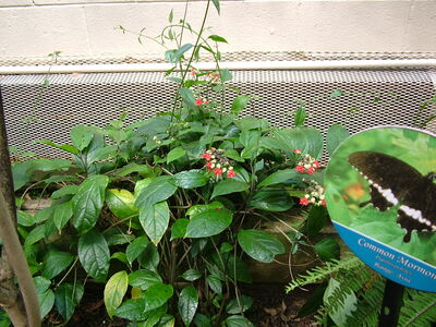 DSCF9771.JPG