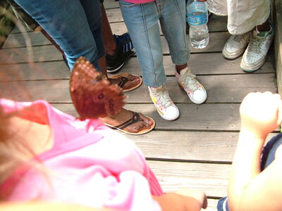 DSCF9772.JPG