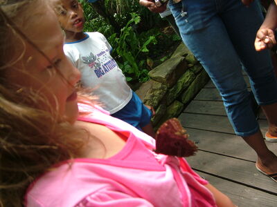 DSCF9773.JPG