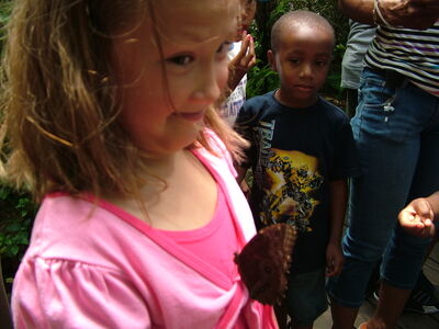 DSCF9774.JPG