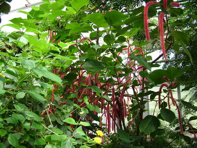 DSCF9779.JPG