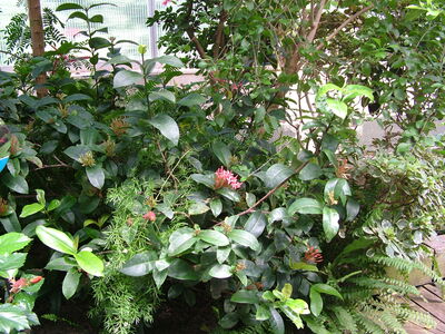 DSCF9780.JPG