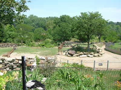 DSCF9781.JPG