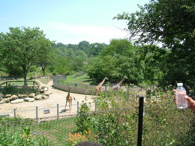 DSCF9782.JPG