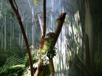 DSCF9784.JPG
