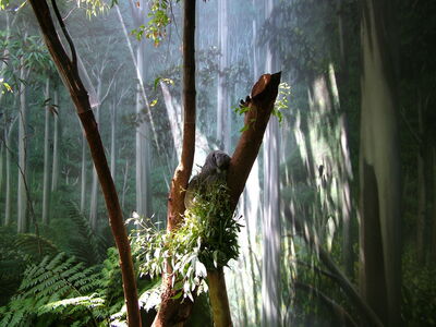 DSCF9785.JPG