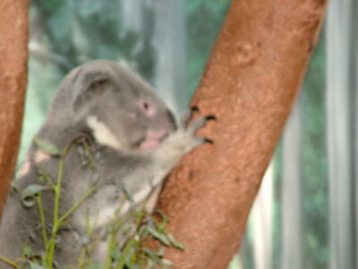DSCF9786.JPG