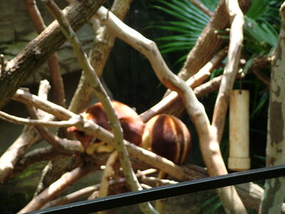 DSCF9788.JPG